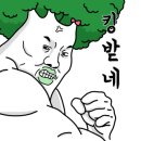 서림채