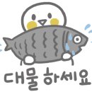 구봉낚시마트 이미지