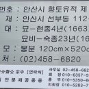 안산김씨 사재감정공파묘역 | 23.7.2 안산 김씨 사재감정공파묘-홍처윤묘-선부동 지석묘군-윤강묘- 시흥 진덕사