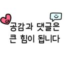 솔헤어라인
