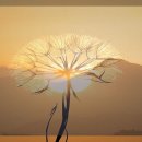 (주)에디넷 네이버블로그