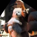 별내1로13-21 이미지