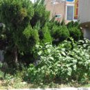 산호동421 이미지