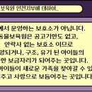 동물보육원 고양이 후원 카페 이미지