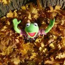 오렌즈계산점 이미지