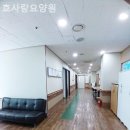 부평사랑 | 인천 부평 요양원 효사랑요양원 직원 후기