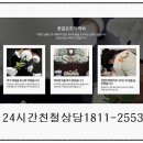 3일간동행 이미지