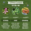 금호화원 이미지