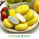대흥축산 | 창억떡·한정선까지, 더현대·롯데·신세계가 주목한 ‘디저트 떡’의 인기 이유