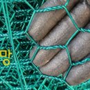 한진농장 이미지