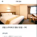 호텔스카이파크 명동1호점 이미지