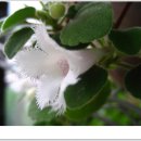 (주)마당 이미지