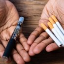 심해전자 이미지