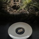 가나화원 이미지