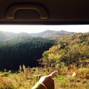 아리숲펜션