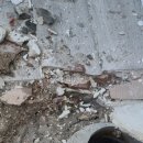 죽림세탁 이미지