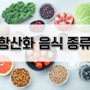 루트 90