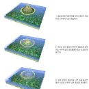 산호초수산 네이버블로그