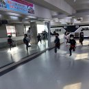 용인대 도곡 태권도장 이미지