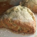 해빗 (hav-it) 이미지