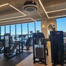 보떼 짐 이미지