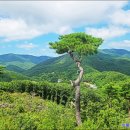 뒷골2로 이미지