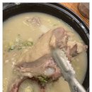 고양맛집 건강한 보양식 삼계보감 본점 방문후기