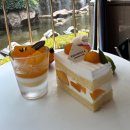 머스트비 | 롯데호텔서울 머스트 비 망고 애프터눈티 후기｜페닌슐라 라운지 예약, 가격, 솔직후기
