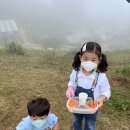 재아농장 이미지