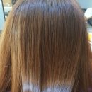 헤어고고 이미지