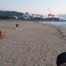 덕풍농장 | 한결넴과 #옥계해변 #장호항 #갈남항 #덕풍계곡 #육백산사슴농장 #황지연못 부숨 옥계해변 파도에 쓸려...