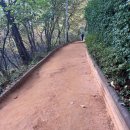 휘경2동주민센터 건너편 배봉산둘레길 입구 | 배봉산맨발걷기 동대문그맨발걷기장소 가는방법