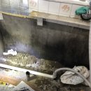 중계건영2차아파트 이미지