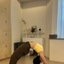 늘,예쁜개 이미지