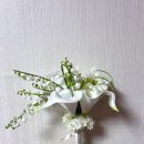 구렛들1길 | 📷전주 셀프 야외웨딩스냅 덕진공원&amp;팔복예술공장 촬영 후기