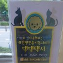 댕댕택시 이미지