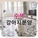 수색동물병원 | 수색 강아지분양 현실적인 비용과 지역별 팁