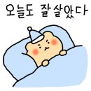 송지카센타 이미지