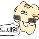 모의모든것 이미지