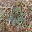 새싹농장 이미지