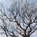 두모경로당 이미지