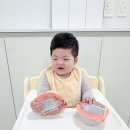 닥터리헬스케어 | 닥터리의 로하스밀 이유식 후기 단계, 매일 다른 식단표로 든든하게 완밥