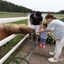 (주)하나투어제주 이미지