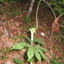 수골 농장 이미지