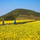 청산푸른환경 이미지