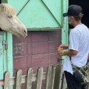 현 목장 이미지