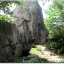 용봉초교 이미지