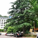 백암파크 이미지