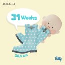 다림체육관 | 👶🏻 주수 일기 : 임신30주~31주차(feat. love wins all)