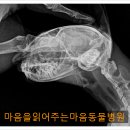 마음을 읽어주는 마음동물병원 이미지